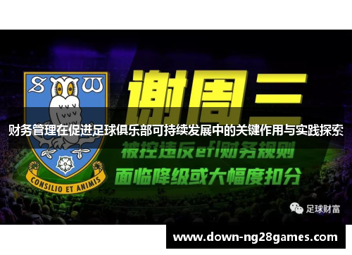 财务管理在促进足球俱乐部可持续发展中的关键作用与实践探索 财务管理在促进足球俱乐部可持续发展中的关键作用与实践探索