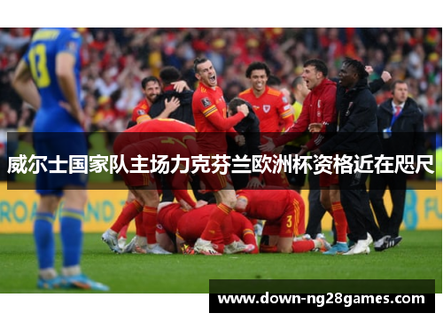 威尔士国家队主场力克芬兰欧洲杯资格近在咫尺
