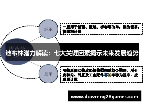 迪布林潜力解读:七大关键因素揭示未来发展趋势 迪布林潜力解读:七大关键因素揭示未来发展趋势
