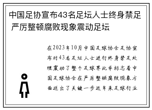 中国足协宣布43名足坛人士终身禁足 严厉整顿腐败现象震动足坛 中国足协宣布43名足坛人士终身禁足 严厉整顿腐败现象震动足坛