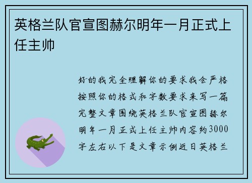 英格兰队官宣图赫尔明年一月正式上任主帅